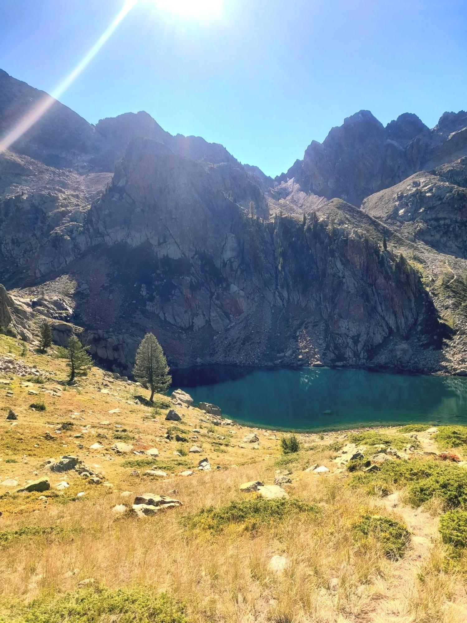La Primula Otel Borgo San Dalmazzo Dış mekan fotoğraf