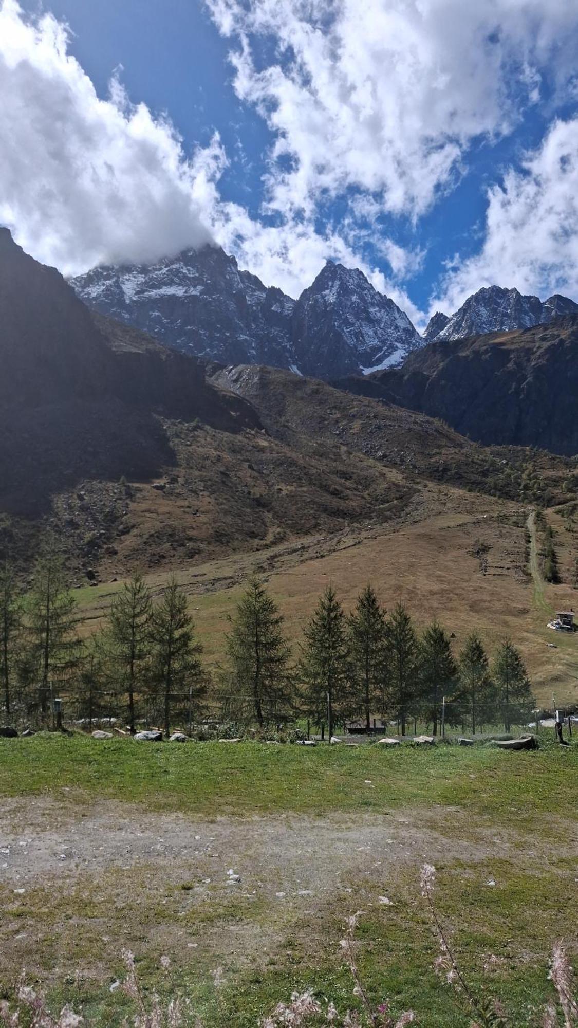 La Primula Otel Borgo San Dalmazzo Dış mekan fotoğraf